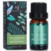 NATURAL BEAUTY - Essential Oil - Eucalyptus E1F1024L 10ml/0.34oz